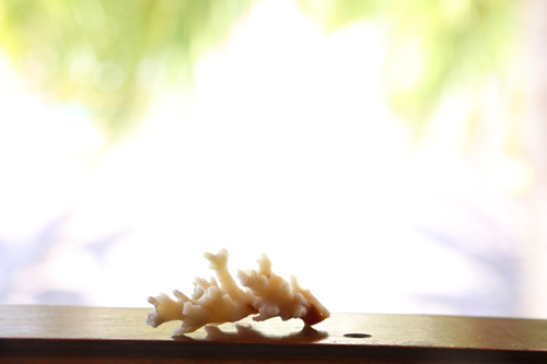 レスポンシブにも対応!③ フリックスライダーを作成してみました。