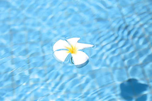 レスポンシブにも対応!③ フリックスライダーを作成してみました。