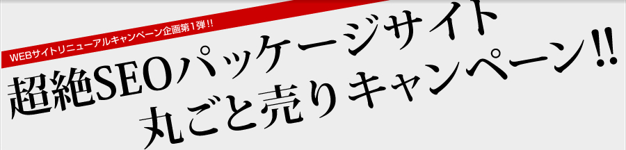 WEBサイトリニューアルキャンペーン企画第1弾!! : 超絶SEOパッケージサイト丸ごと売りキャンペーン WEBサイトリニューアルキャンペーン企画第1弾!! : 超絶SEOパッケージサイト丸ごと売りキャンペーン