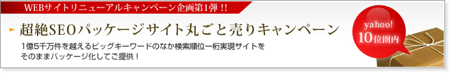 超絶SEOパッケージサイト丸ごと売りキャンペーン:1億5千万件を越えるビッグキーワードのなか検索順位一桁実現サイトをそのままパッケージ化してご提供！