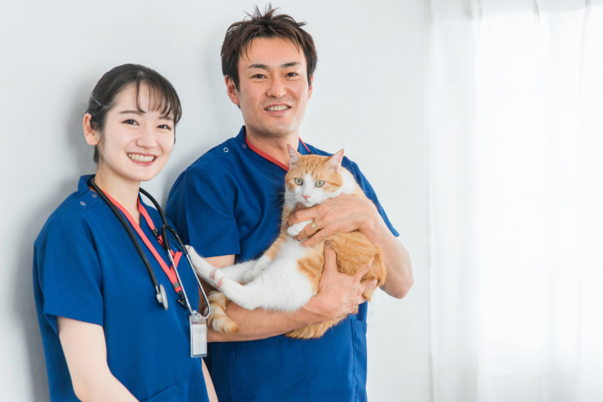 動物病院のホームページ制作のポイントとは？掲載すべき内容や作成時の注意点について解説！